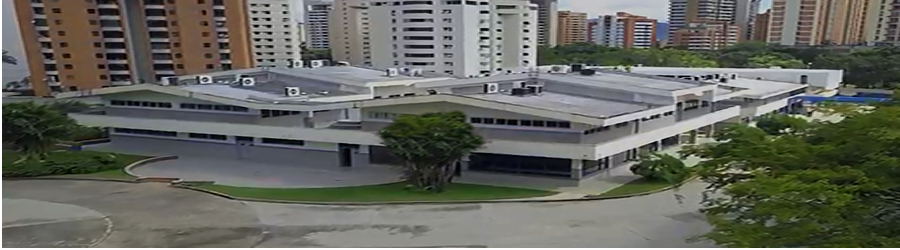 fondo principal